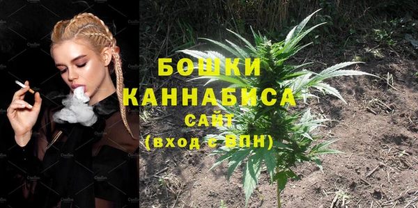 мдпв Шадринск